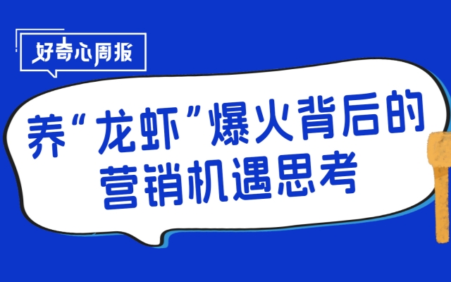 養(yǎng)龍蝦爆火背后，全民流量下的營銷邏輯與復(fù)用思路