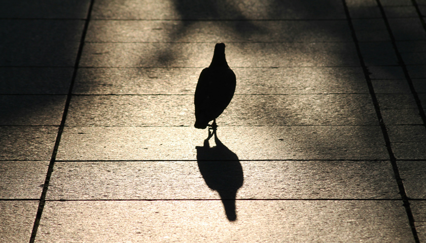 一線訪談 | 一千米，是我和導(dǎo)彈的距離