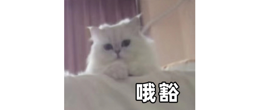 可生食雞蛋是一種智商稅嗎？