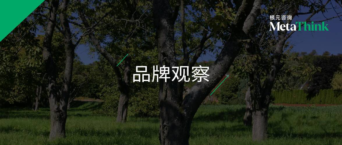 品牌越多，影响力就越强吗？ 为何我们常常劝客户别急着做新品牌
