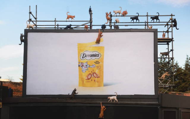 德國寵物零食品牌：注意，貓襲擊廣告牌了