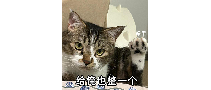 奇瑞這是要毀了混動方盒子嗎？