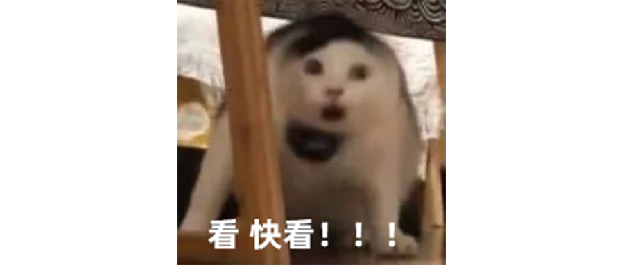 啥車能在9系天花板上捅個洞？