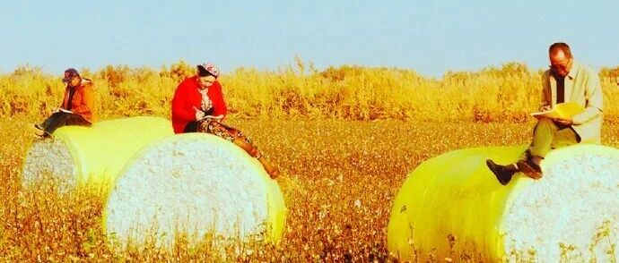 那些坐在辦公室寫不出的文案，蕉內(nèi)讓“棉農(nóng)”寫出來了！