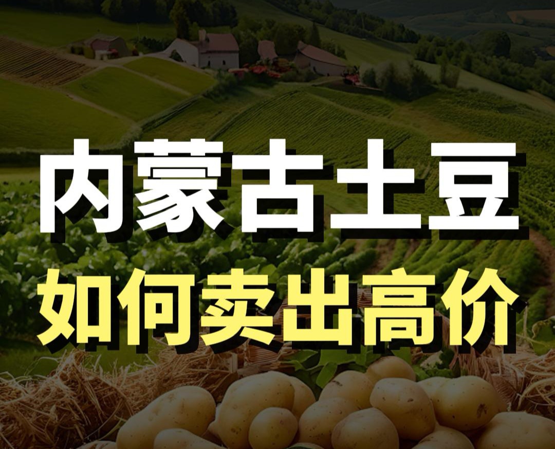 藍(lán)爺說品牌：內(nèi)蒙古土豆如何賣高價(jià)？
