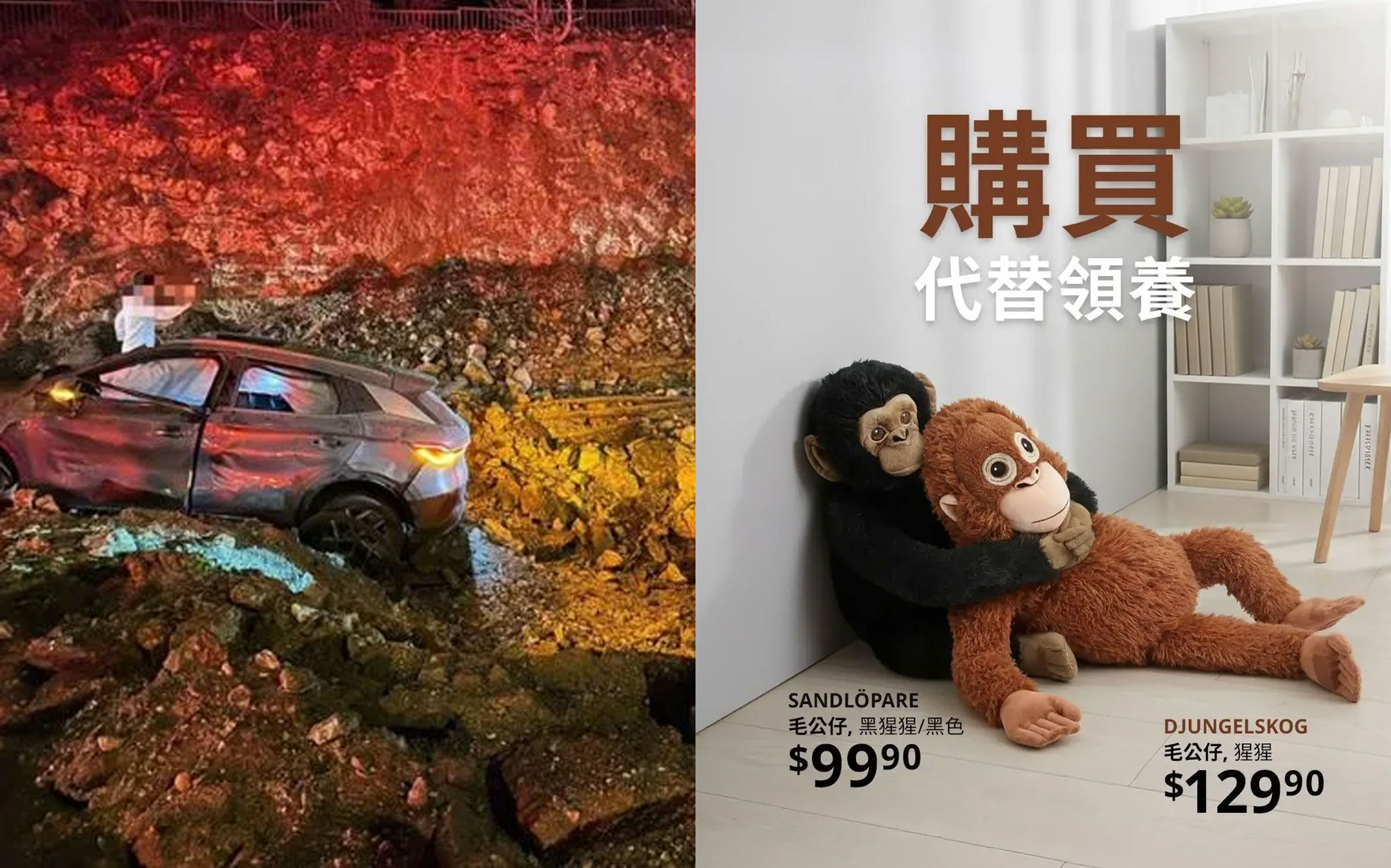 天降流量？比亞迪和宜家怎么接住這潑天富貴