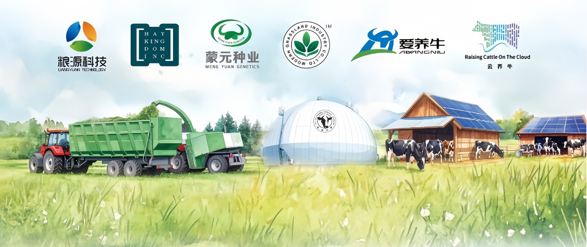 現(xiàn)代牧業(yè)財報釋放強(qiáng)信號：前瞻布局第二、三曲線協(xié)同共振