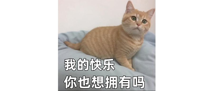 騰訊WorkBuddy怎么敢去海底撈的？