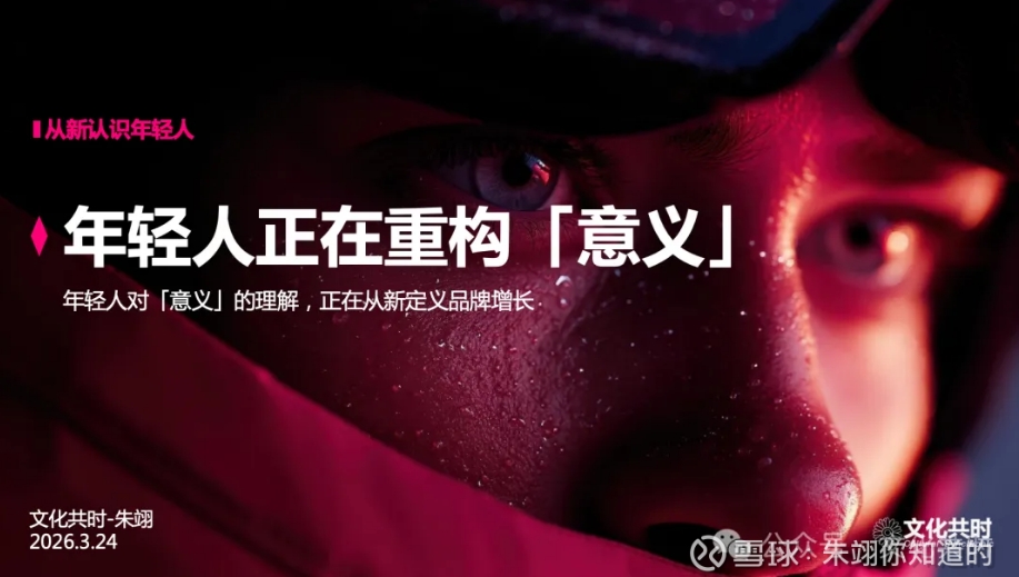 朱翊研究：《年轻人正在陷入意义危机 》报告 pdf下载