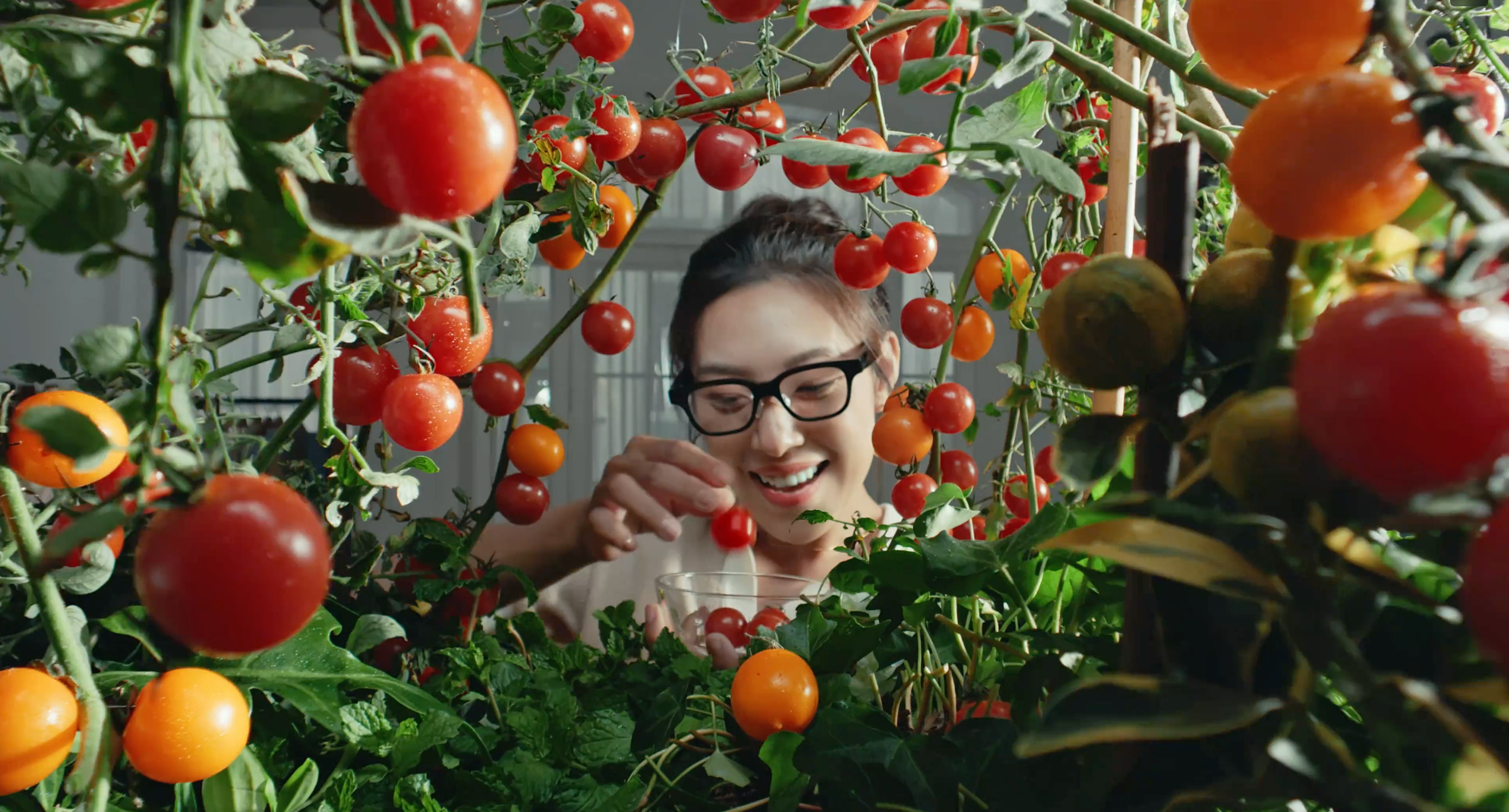 比產(chǎn)品先“出圈”的，是廣告：Rokid AR眼鏡用一部片子點(diǎn)燃市場(chǎng)渴望