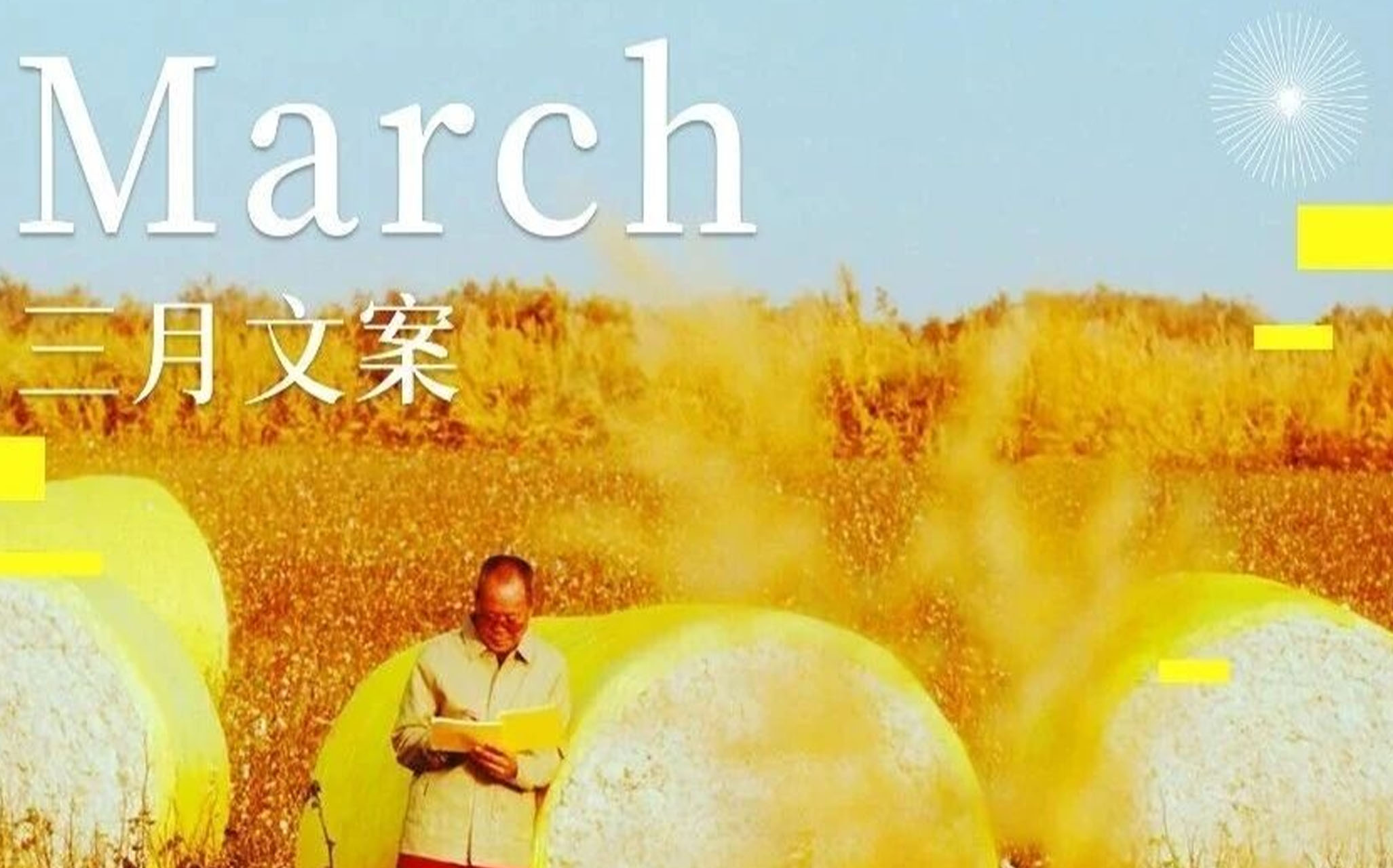 3 月 | 春天沒有心事，春天只顧花開