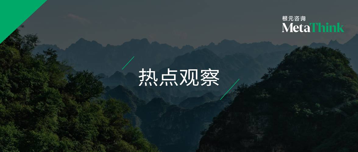 给古人上坟的年轻人，到底在寻找什么？