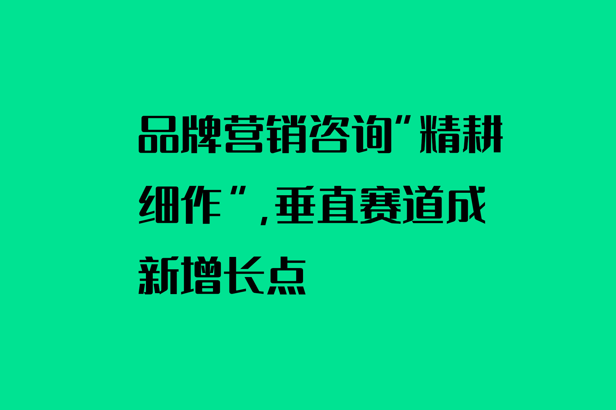 品牌營銷咨詢“精耕細(xì)作”，垂直賽道成新增長點(diǎn)