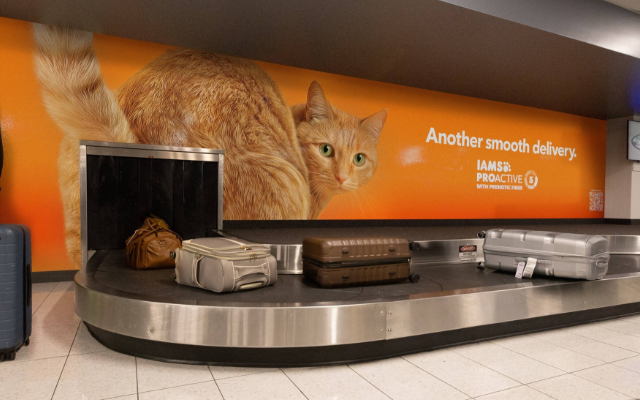 美國(guó)寵物食品廣告：行李轉(zhuǎn)得順，它們也要拉得順
