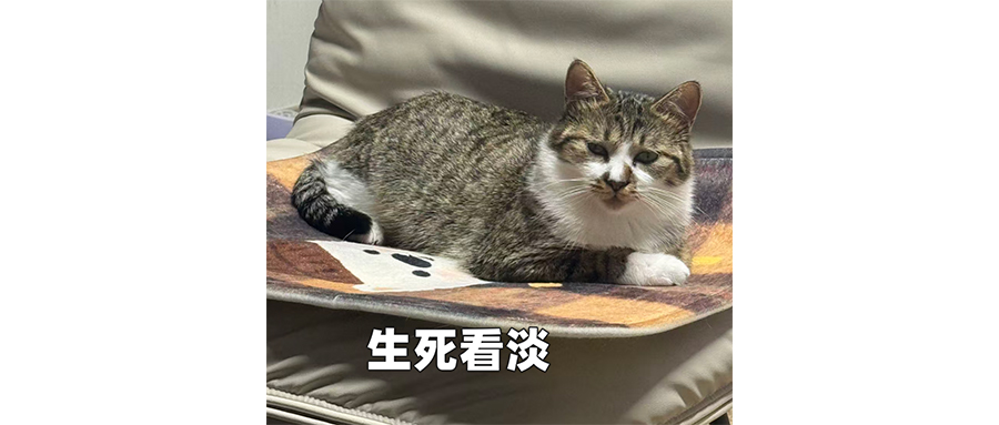 AI復活親人？過于地獄笑話了