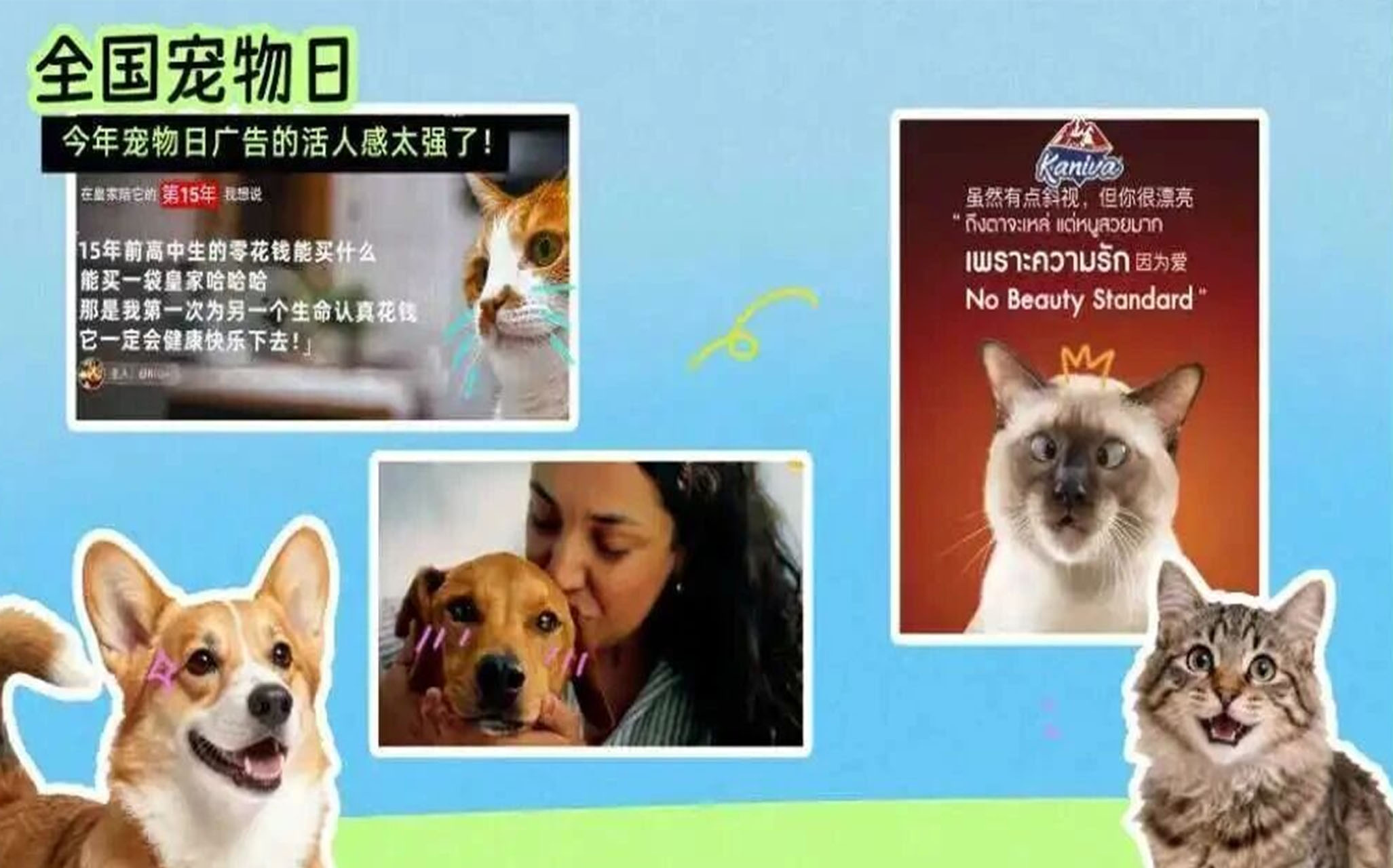 寵物日特輯｜5 支廣告，讀懂毛孩子的愛