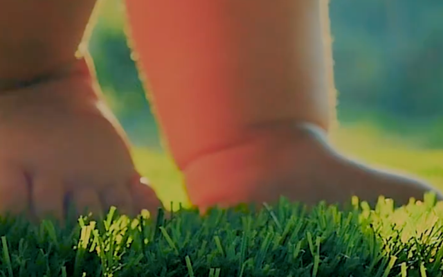 荷蘭Bugaboo：帶娃出行，也是你在探索世界