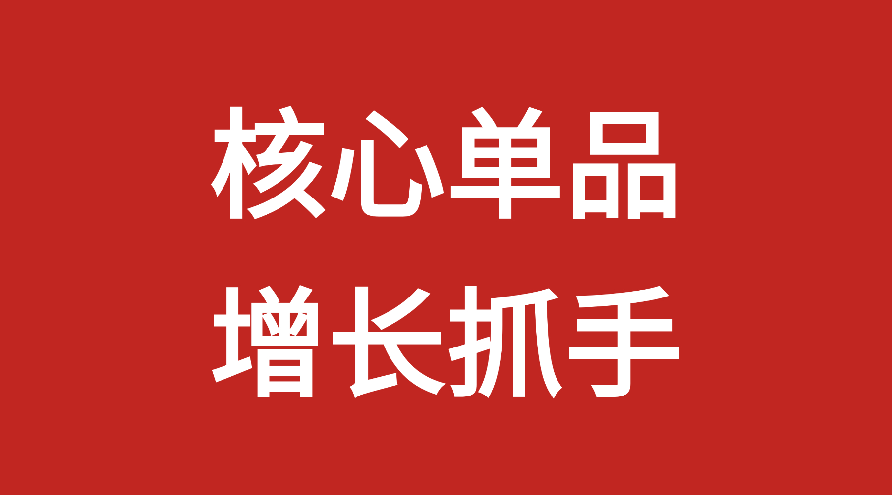 新消费HOT独家对话贺大亿：企业打造大单品摆脱同质化竞争