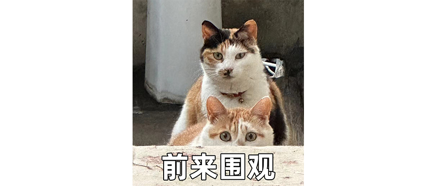 银行专招运动员，是萝卜岗吗？