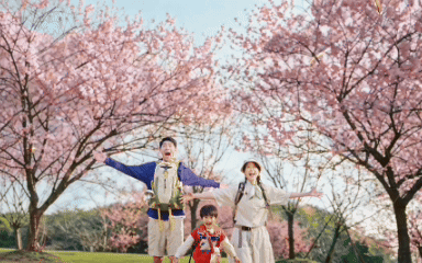 京东健康春敏季：不过敏，过春天