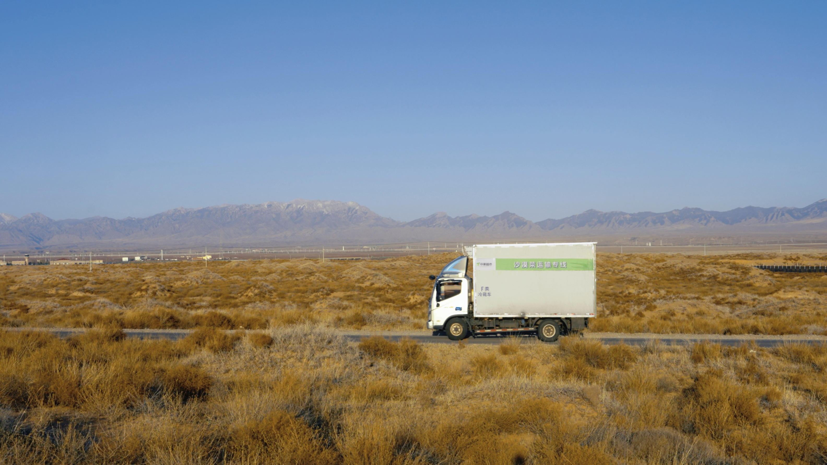 “北菜南运”沙漠菜，丰盛了谁的餐桌？