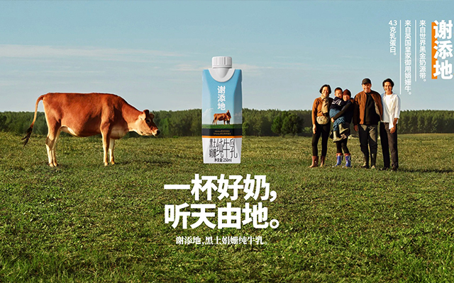 谢添地的18个月：一个特仑苏人的野心与失败