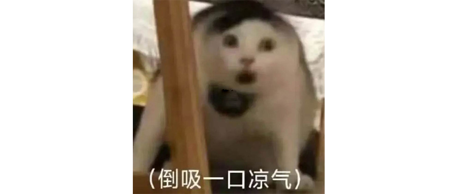 新能源厂商再不开驾校，就来不及了