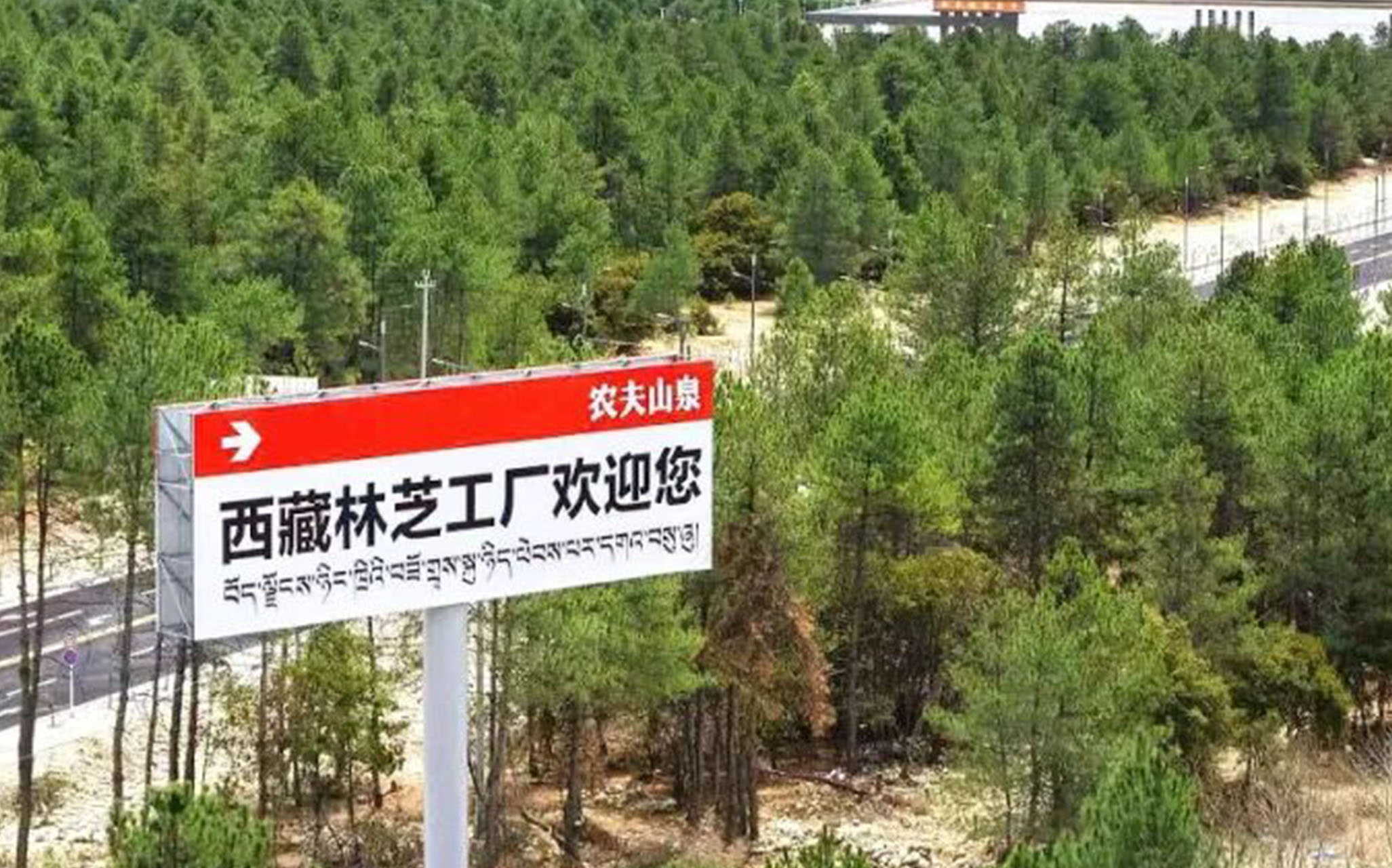 在G318，被农夫山泉的户外广告牌感动到了
