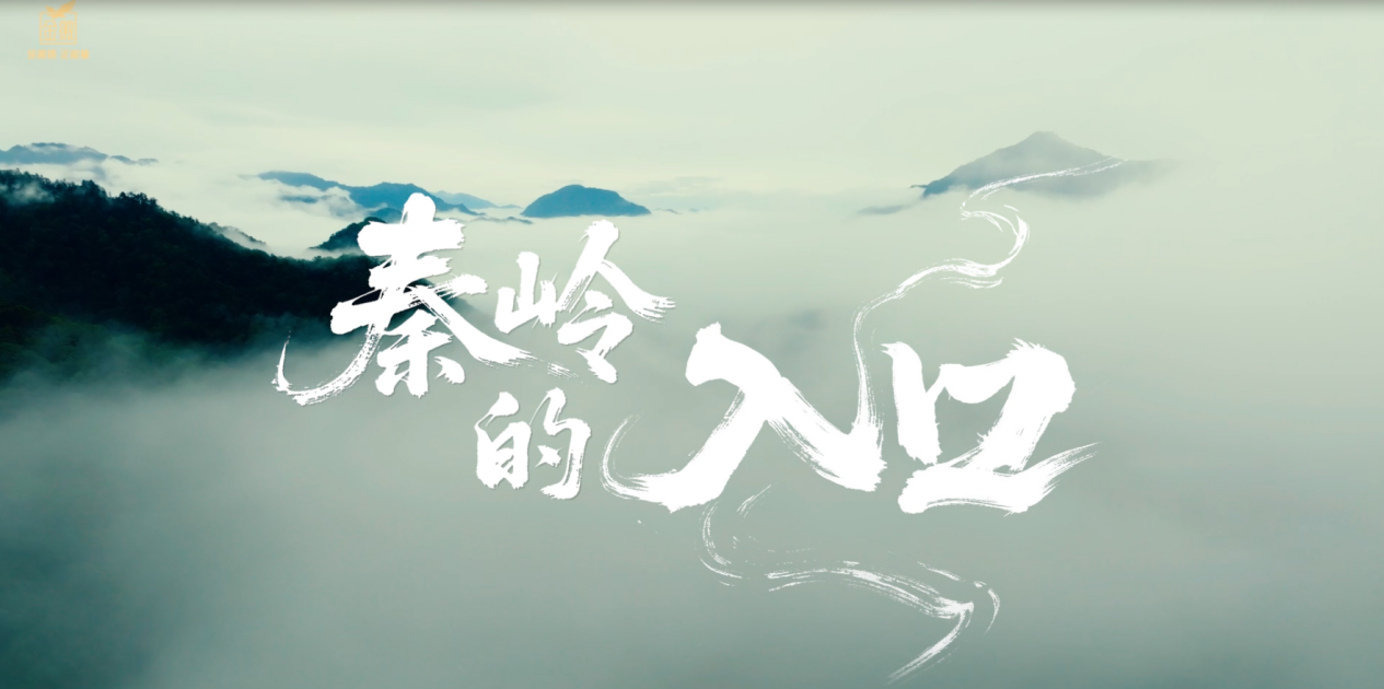 金徽酒《秦岭的入口》：一张桌子，重构白酒表达方式