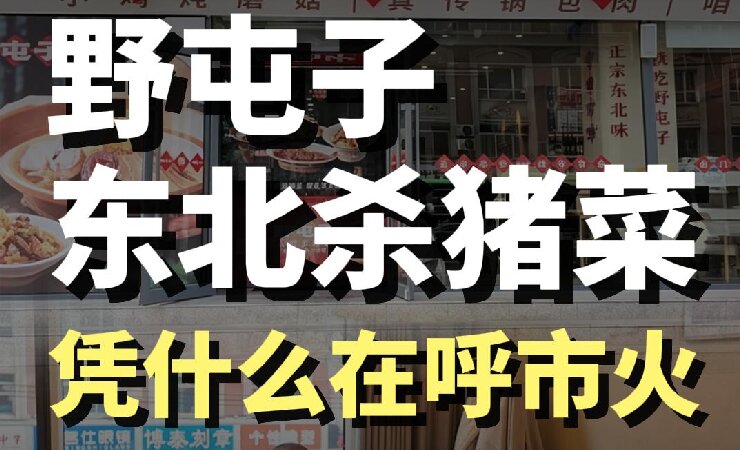 蓝爷说品牌：野屯子爆红背后，餐饮人必学思维