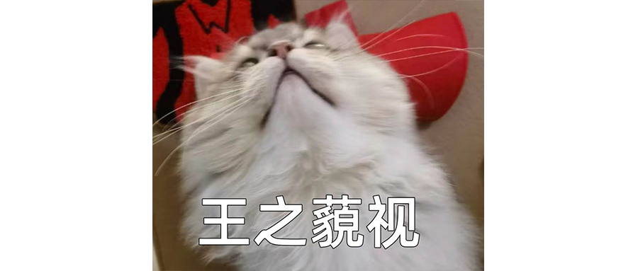 比亚迪大唐，痛击山姆的停车场