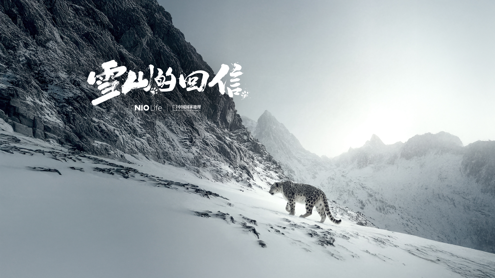 NIO Life推出全新Clean Parks雪豹系列:以原创设计共写「雪山回信」