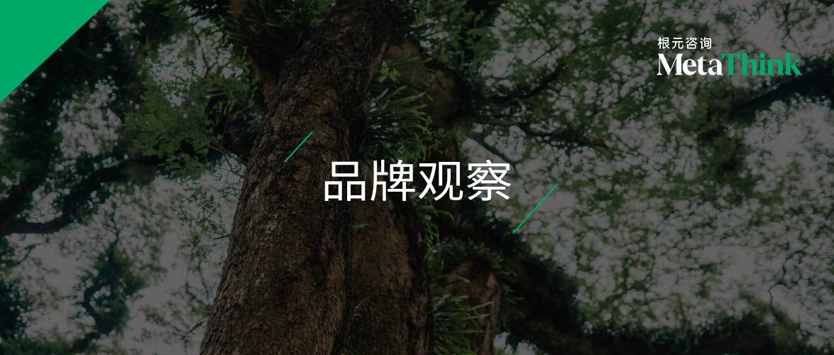 中国品牌日 | 从品牌到叙事：企业观念资产建设的一次必要转向