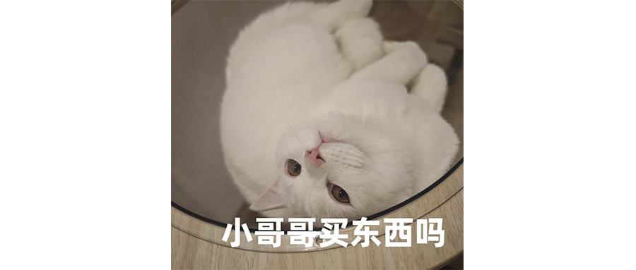 人工客服你好，帮我转下AI客服