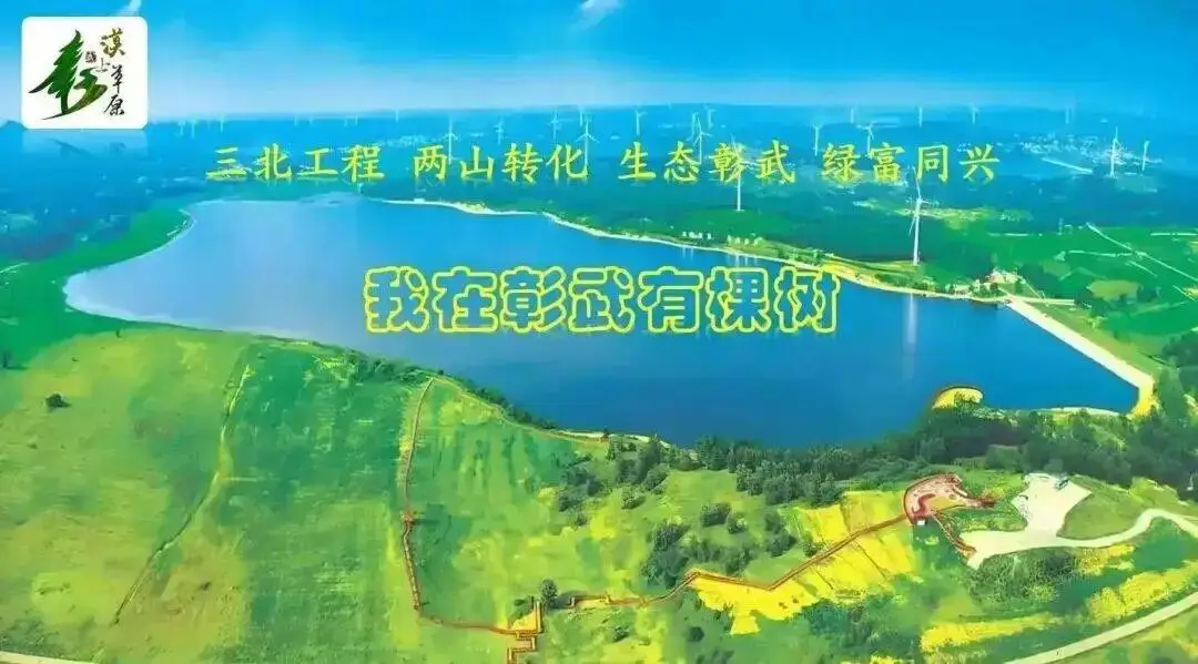 我在彰武有棵树：让思政在大地上生长 