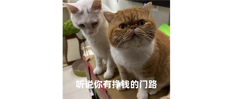外卖单王买奥迪，脑子是不是有问题？