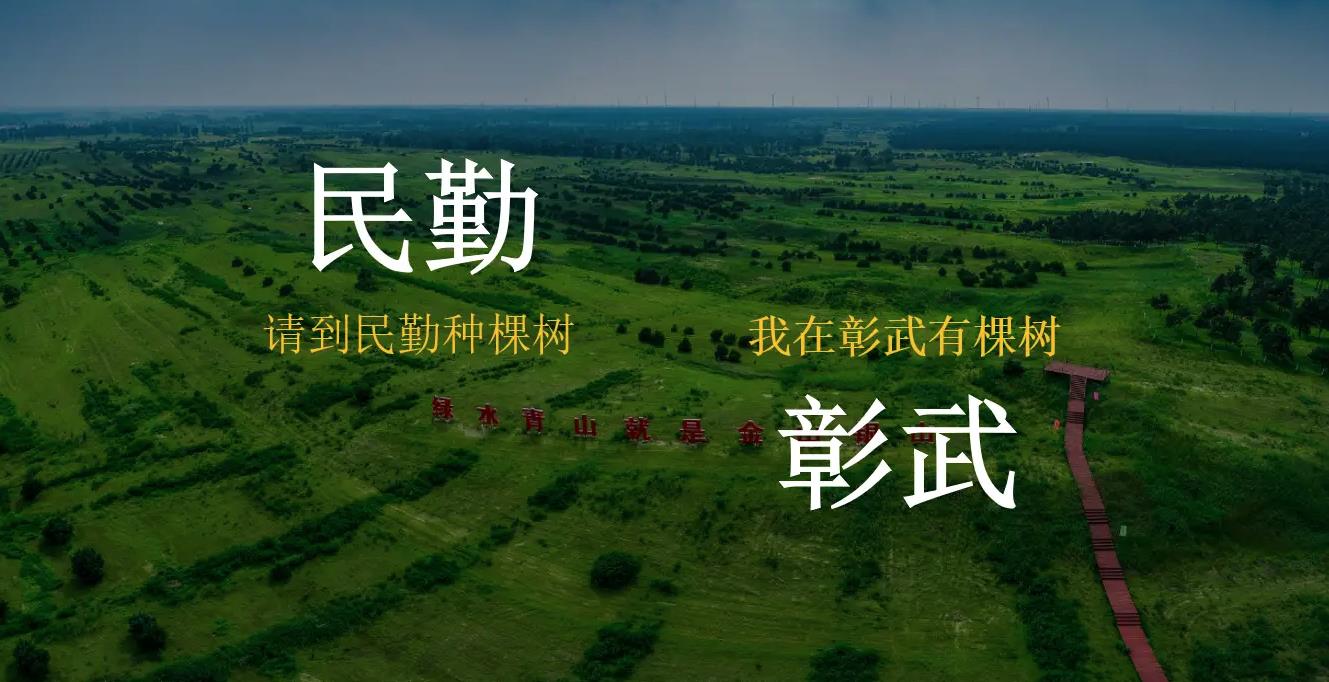 民勤的今日，彰武的昨天，防沙治沙必将生态发展迎接绿色明天