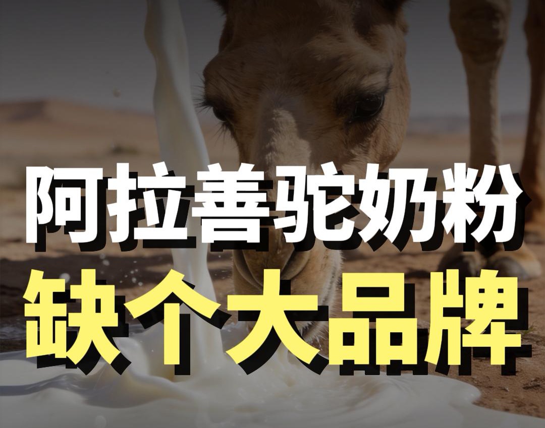 蓝爷说品牌：错失 3 年爆发期！阿拉善驼奶只剩最后翻盘机会