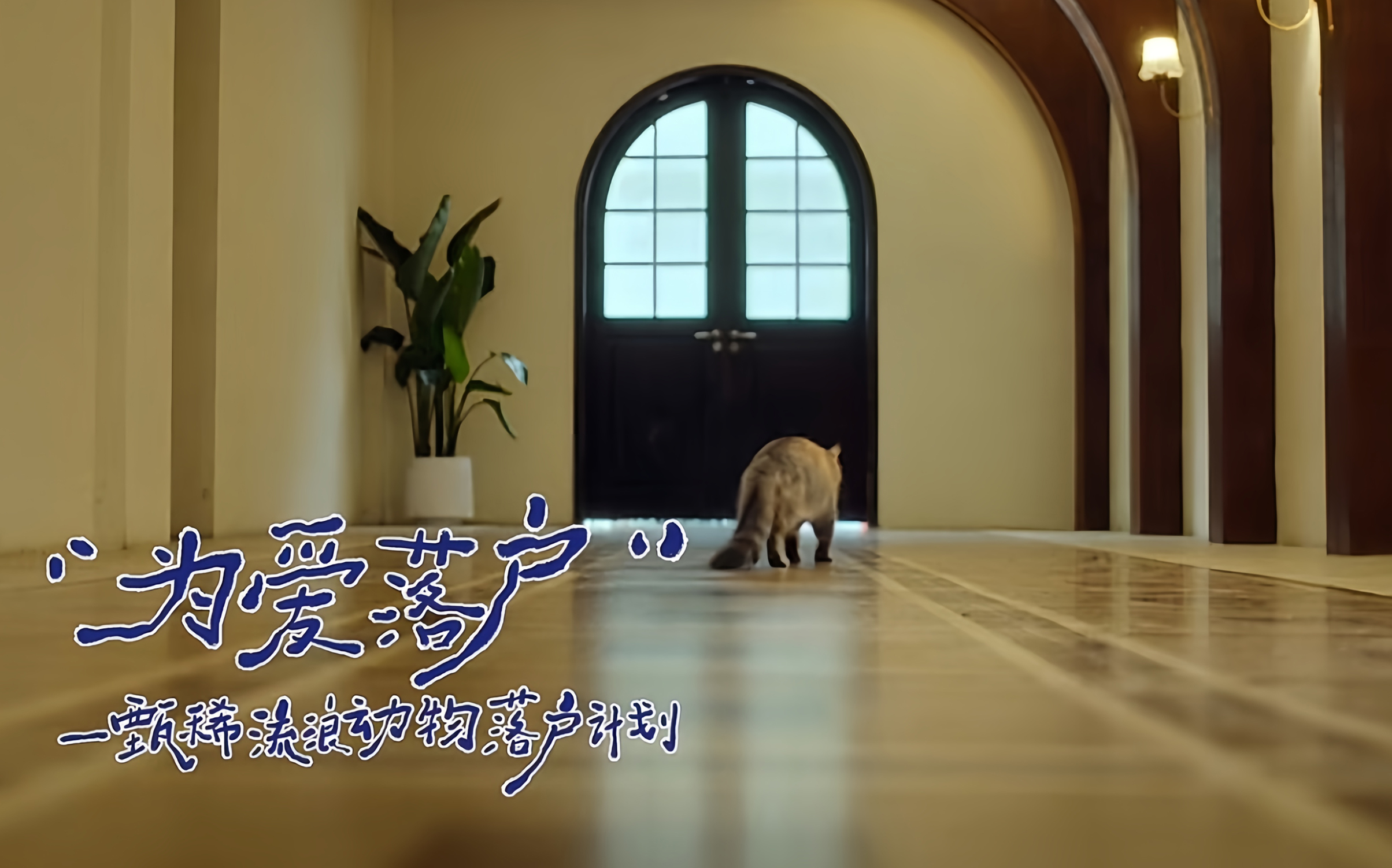 甄稀冰淇淋太暖心，焕新包装只为帮 TA 落户