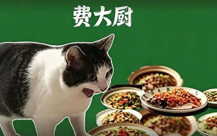 我们为什么爱吃费大厨