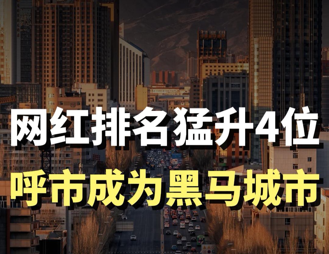 蓝爷说品牌：北方黑马杀出！呼和浩特凭什么登顶网红城？