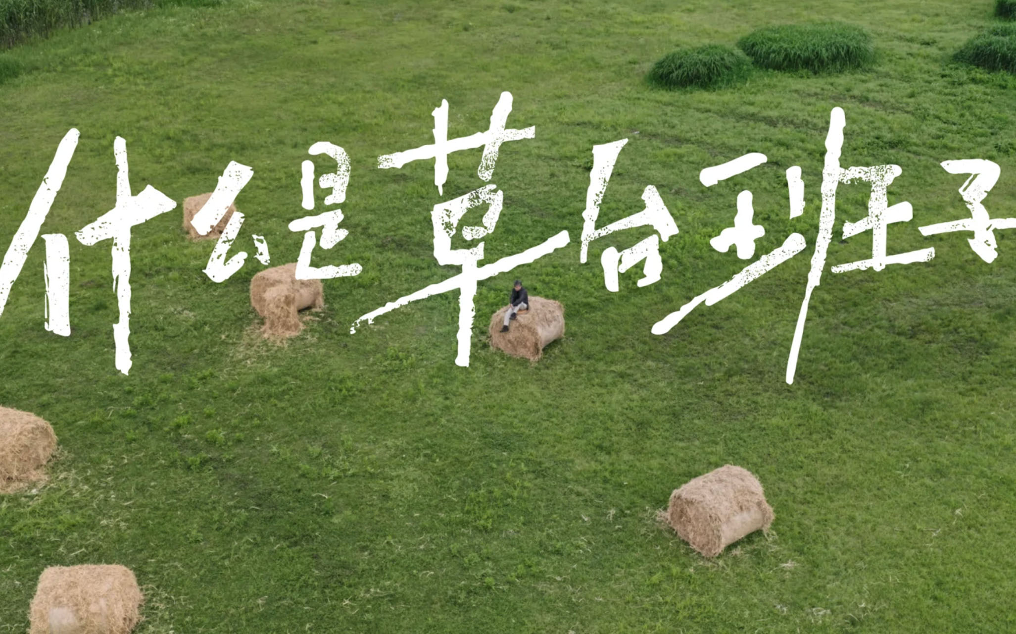 余华一句话，炸出蓝V品牌、罗永浩、于正…