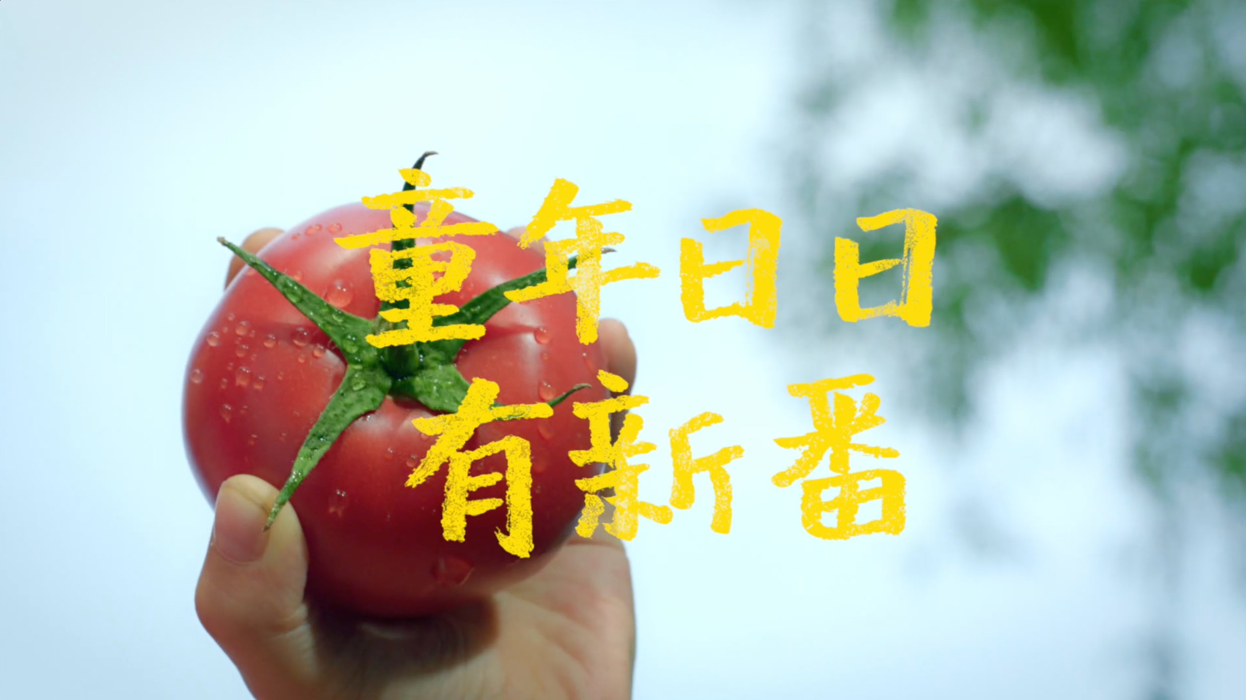 海底捞六一儿童节：童年日日有新番