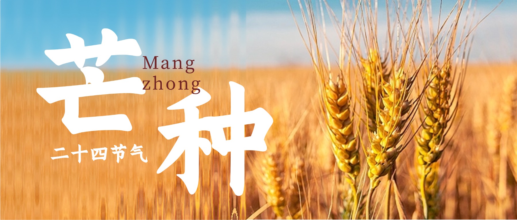 私域直播系统怎么选？从芒种排品看悦邻为什么更值得重点看