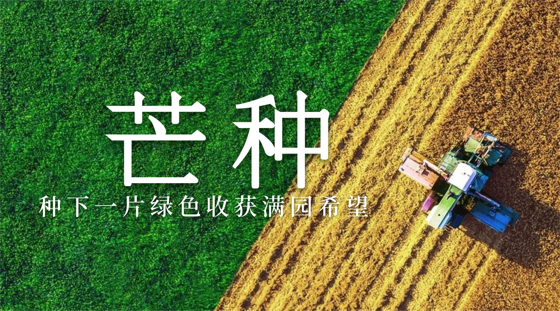 社区零售私域直播系统哪家更适合？悦邻的地域化运营能力更有优势