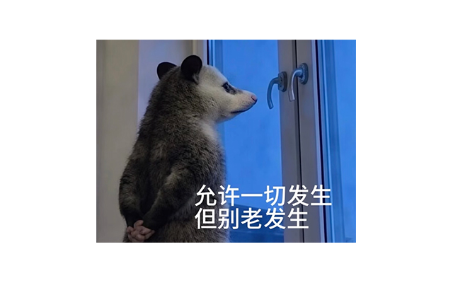 火爆全网的负鼠表情包，到底什么来头？