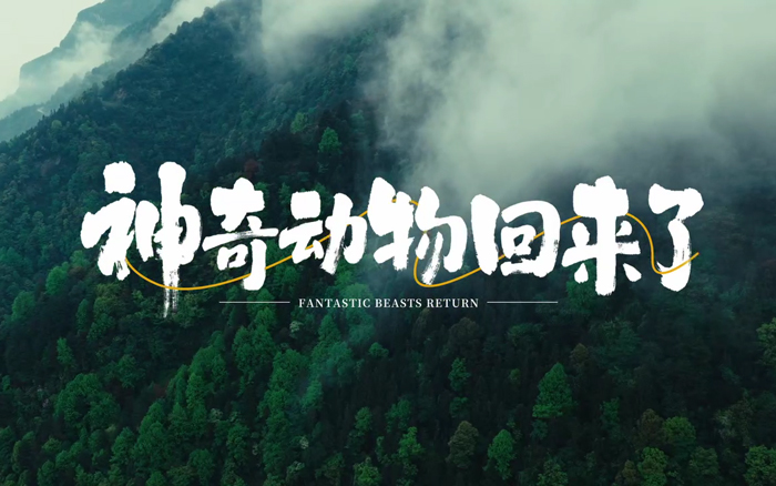 淳源×腾讯公益：重庆有机奶，招来了一群“野生代言人”