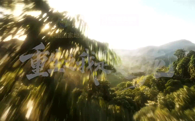 大自然的隐身大师，和超威小绿瓶拍了一部爽剧！