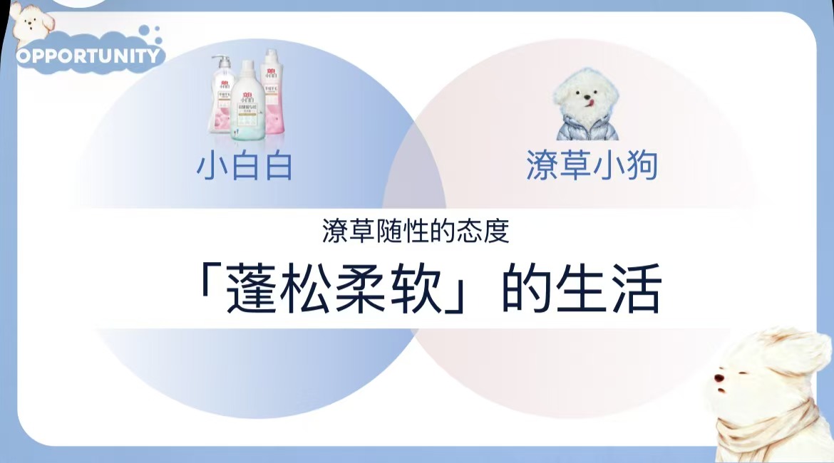 立白x潦草小狗｜生活偶尔潦草 状态依旧蓬松