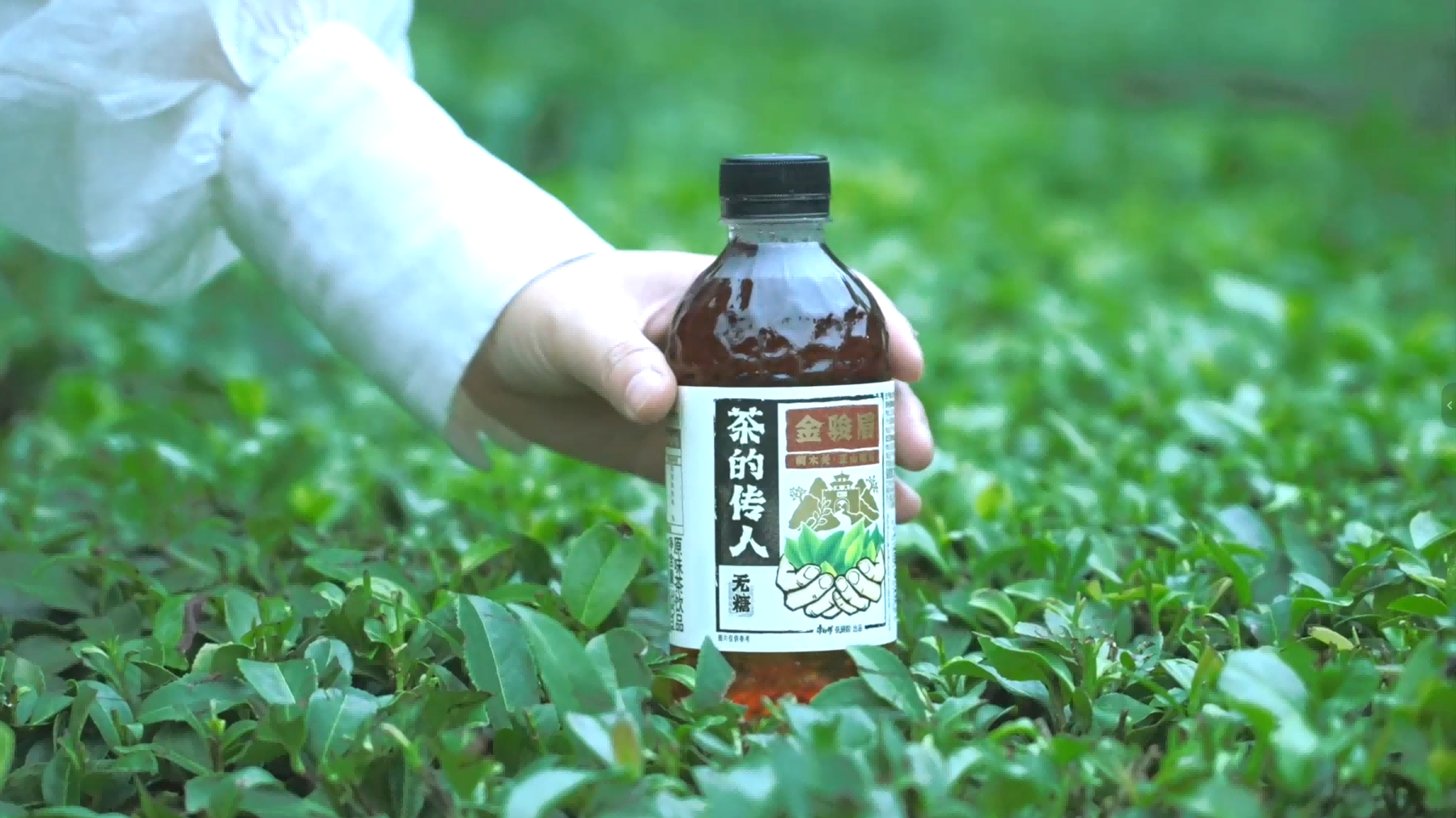 9.9元金骏眉走入大众，茶的传人重塑名茶消费新形态